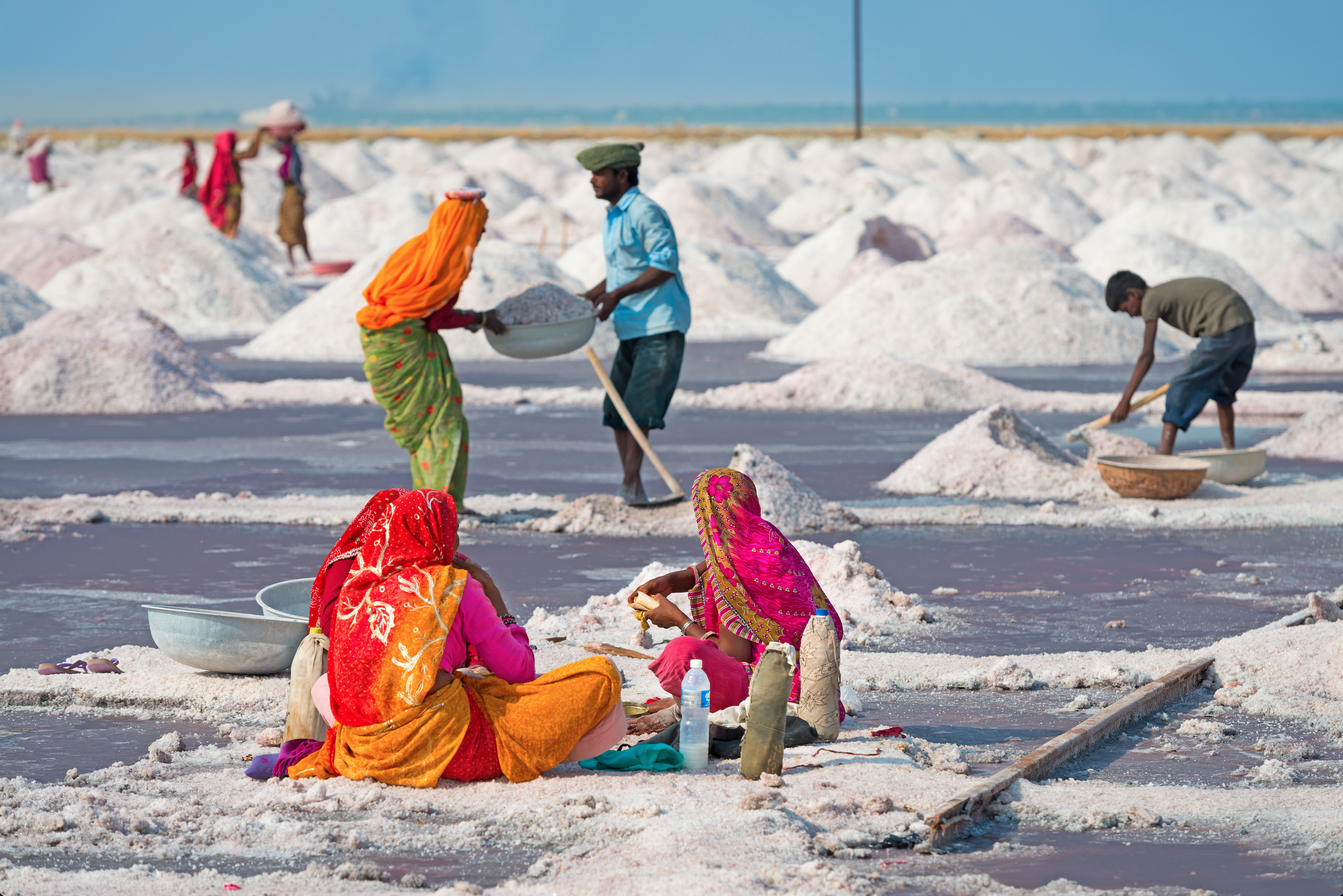 People collecting salt