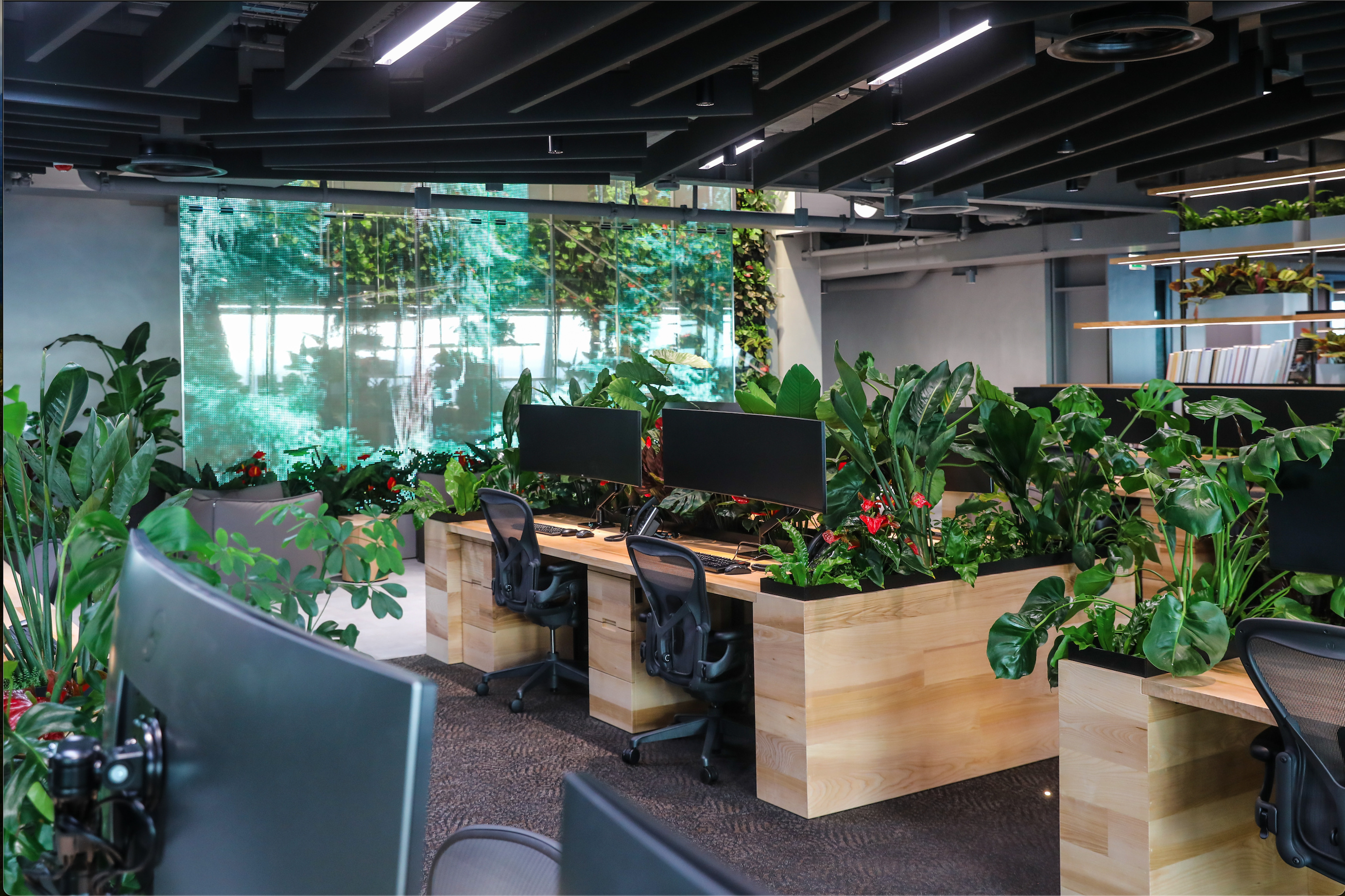 Open Working Space