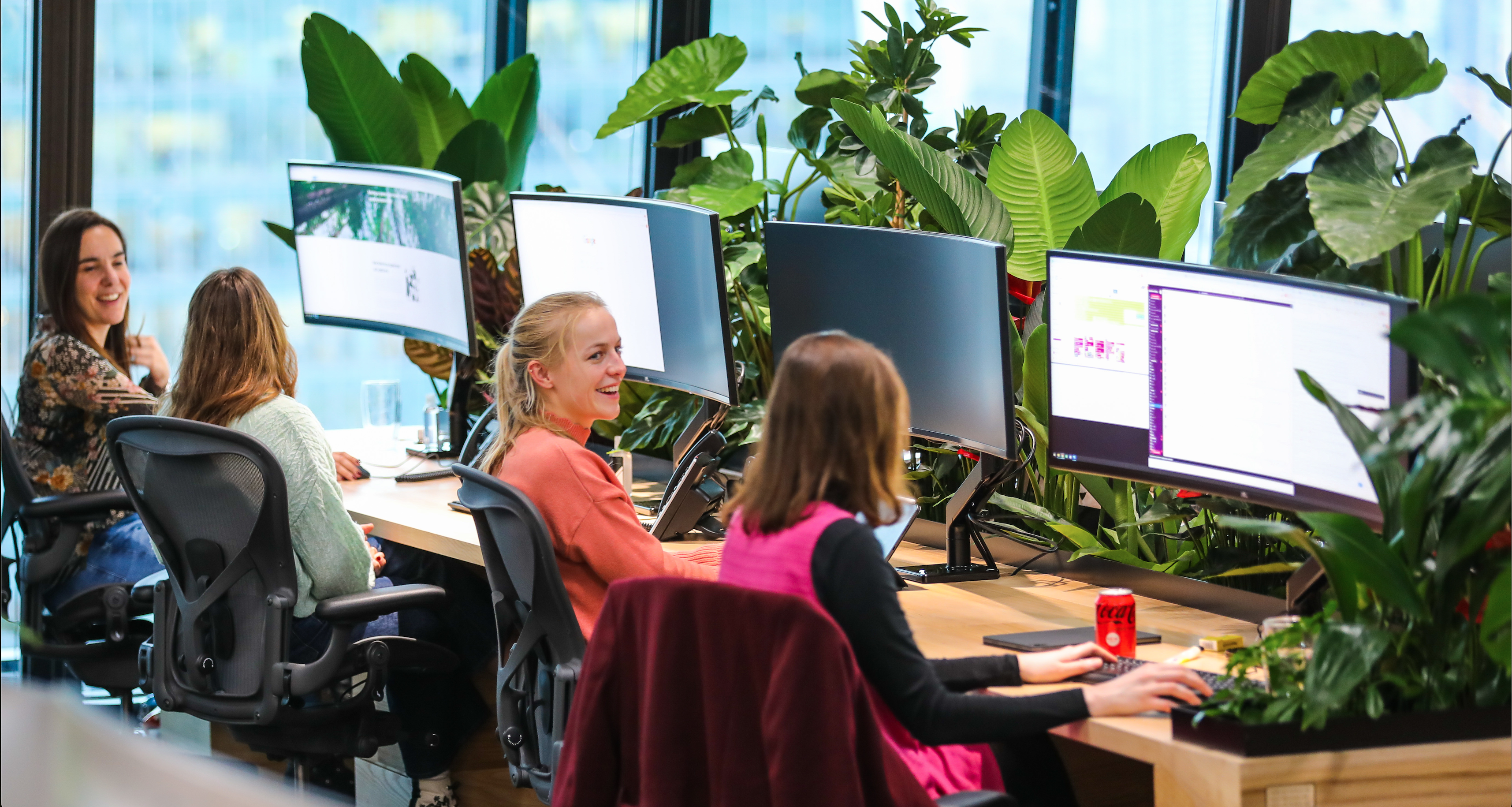 People working on computers